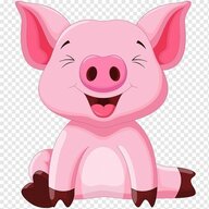 pigpink